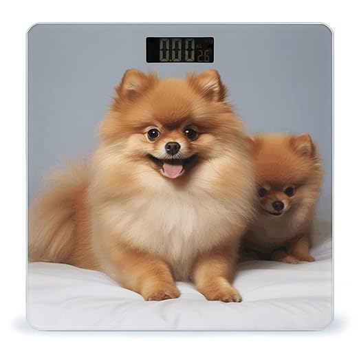 Cute Pomeranian Bathroom Scale Large LCD Backlight Display Digital Scale Rounded Corners Body Scales Automatic Power On/Off Bathroom Scales for Home Bedrooms