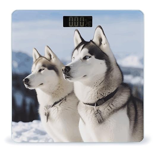 Husky Dogs Bathroom Scale Ultra-Bright Liquid Crystal Screen Weight Scale Accurate Bathroom Body Scales for Body Weight Bathroom Pet Home Bedroom Gift-Giving
