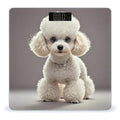 Poodle Smart Scale for Body Weight Accurate Bathroom Scale with LED Display Digital Weight Scales Weighing Machine High Precision Scales for Bath Home
