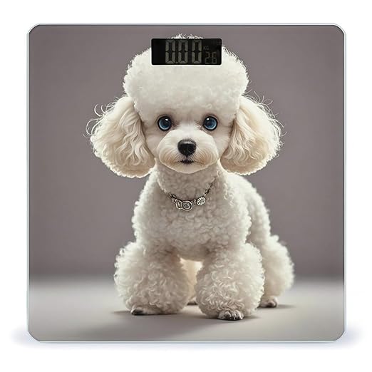 Poodle Smart Scale for Body Weight Accurate Bathroom Scale with LED Display Digital Weight Scales Weighing Machine High Precision Scales for Bath Home