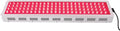 1000W LED Red Light Therapy Near Infrared Light Panel 660nm 850nm