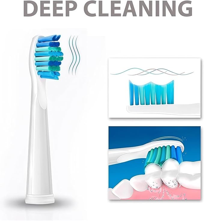 Replacement Electric Toothbrush Head Bristle Brush Refill Compatible with Fairywill FW-D1/FW-D3/FW-D7 Toothbrush Refills(10 PCS BK)