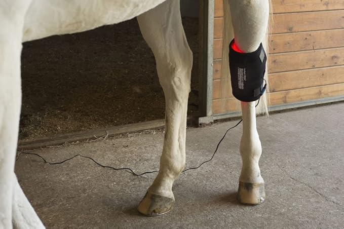 Gospel's Medium Light Therapy Pad with Case