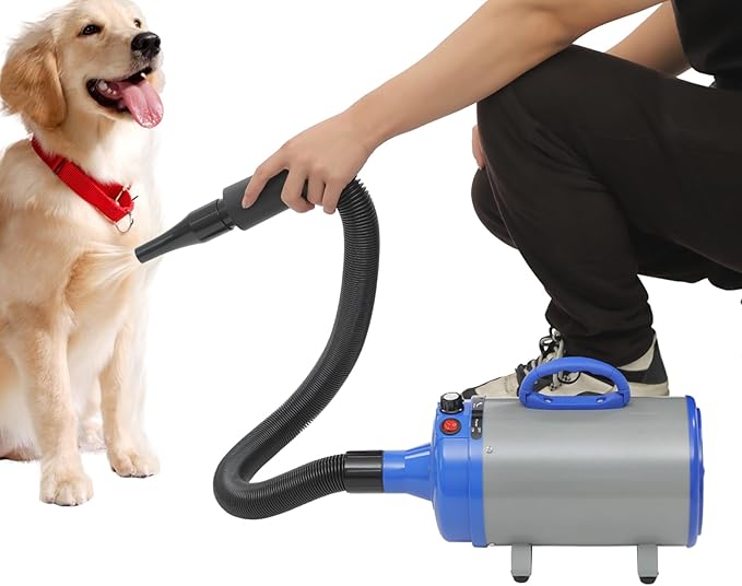 Pet Hair Dryer Electric Dog Cat Hair Dryer Pet Drying Machine with 4 Nozzles (White)