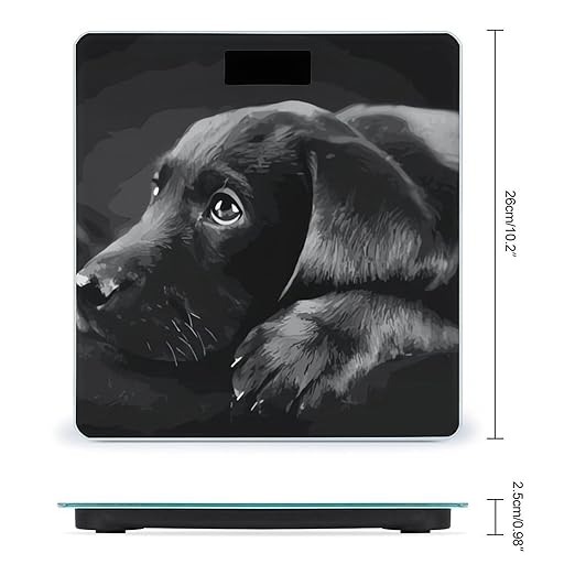 Black Labrador Puppy Scale for Body Weight Highly Accurate Digital Bathroom Body Scale Digital Bathroom Scales for People Anti-Slip Large LCD Display Smart Scales
