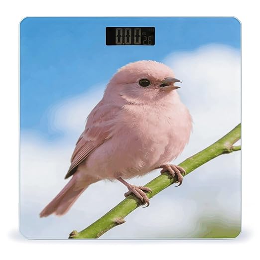 Cute Pink Bird Weight ScaleClear LED Display Bathroom Digital Weighing ScaleTempered Glass Digital Bathroom Scale for Body Weight Capacity Up to 400 Lbs