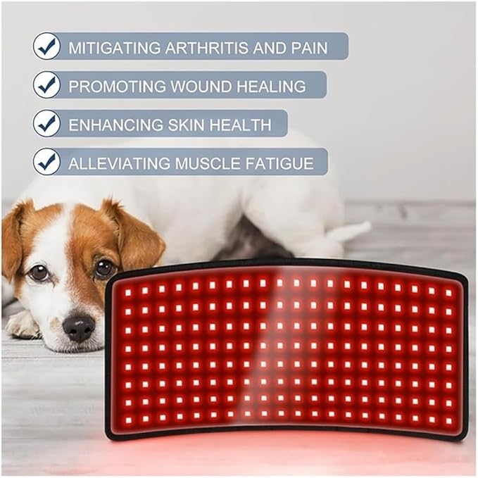 Wearable Horses Infrared Light Therapy Device Red Light Therapy Belts for Horse Back Belly Thigh Calf Maintain and Treat Soft Tissue Injuries Pain-Relief(1pcs)