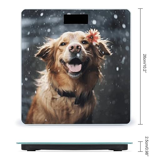Happy Dog in Rain Scale for Body Weight Smart Scales Digital Bathroom Scale High Precision Weighing Scales with Large Display Weighing Machine for People