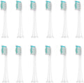 Replacement Brush HeadsCompatible for HX3/HX6/HX9 Series Toothbrush HX6064(12Pcs White)