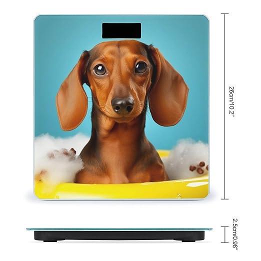 Dachshund Dog Scale for Body Weight Sturdy Tempered Glass Weighing Scales with LCD Display Accurate Digital Bathroom Scale Convenient Body Fat Smart Scales Easy Read