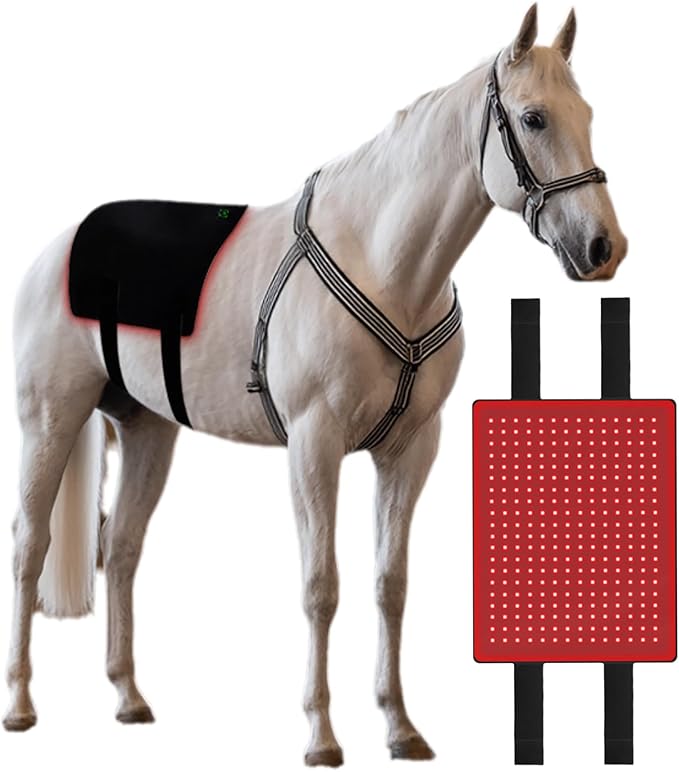 Horseback Red Light Therapy Device 660nm/850nm Adjustable Red Light Therapy Mat Near Infrared Light Device Relaxes Muscles and Promotes Healing
