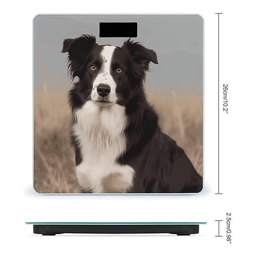 Border Collie Scale for Body Weight Accurate Digital Bathroom Scale Toughened Glass High Precision Scales Smart Weight Scales with Large LCD Backlight Display Weighing Machine