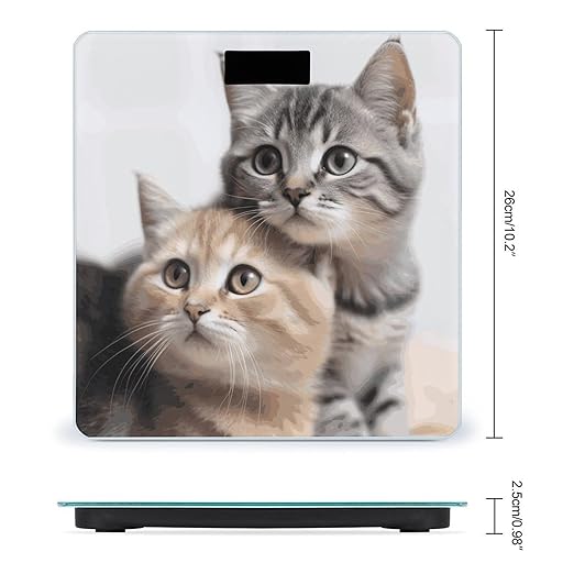 Cats Bathroom ScaleHighly Accurate Digital Weighing Machine for People Bright LED Display Weight Scale for The Aldult Home Use