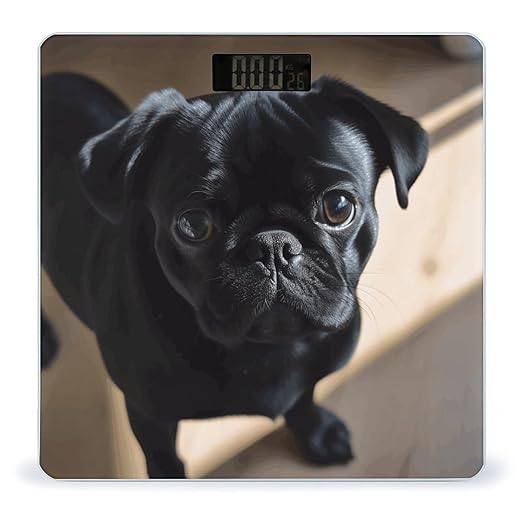 Digital Bathroom Scale for Body Weight Scale with Bright LCD Display High Accuracy Step-On Technology Auto On/Off Black Pug Dog Puppy Digital Scales 400 Lbs /180kg