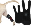 Red Light Therapy Leg Guards for Dogs - Wearable Canine Wrap for Indoor Use - Ideal for Small Dogs and Cats