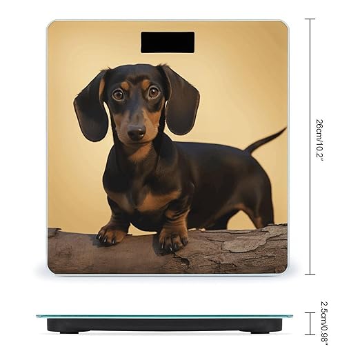 A Cute Dachshund Bathroom Scale Ultra-Bright Liquid Crystal Screen Weight Scale Accurate Bathroom Body Scales for Body Weight Bathroom Pet Home Bedroom Gift-Giving