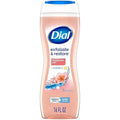 Dial Body Wash Himalayan Salt 16 Ounce Enriching (473ml) (Pack of 6)