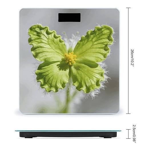 Green Butterfly Flower Smart Scale for Body Weight Digital Bathroom Scale Toughened Glass Weight Scale with Large LCD Backlight Display High Precision Scales Weighing Machine