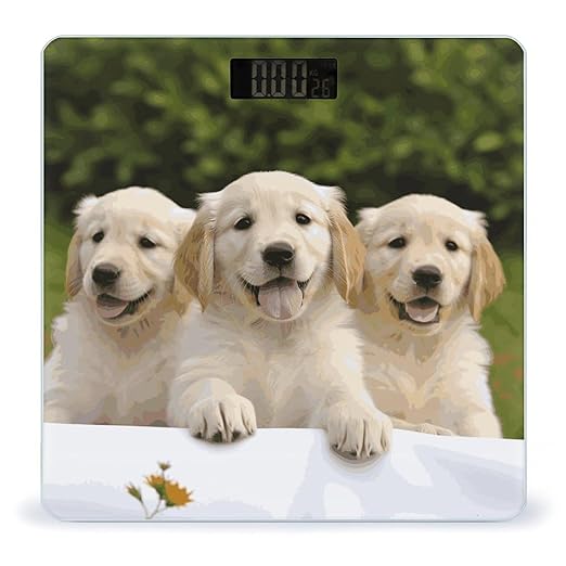 Golden Retriever Puppies Bathroom ScaleHighly Accurate Digital Weighing Machine for People Bright LED Display Weight Scale for The Aldult Home Use