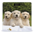 Golden Retriever Puppies Bathroom ScaleHighly Accurate Digital Weighing Machine for People Bright LED Display Weight Scale for The Aldult Home Use