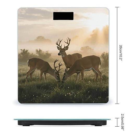 Deer Grass Hunting Scale for Body Weight Sturdy Tempered Glass Weighing Scales with LCD Display Accurate Digital Bathroom Scale Convenient Body Fat Smart Scales Easy Read