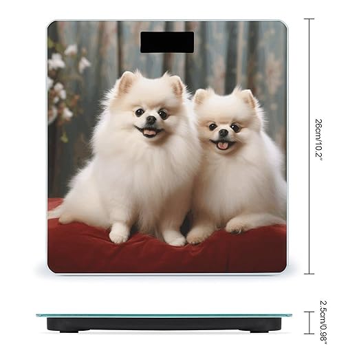 Short Haired Pomeranian Dog Bathroom Scale Large LCD Backlight Display Digital Scale Rounded Corners Body Scales Automatic Power On/Off Bathroom Scales for Home Bedrooms