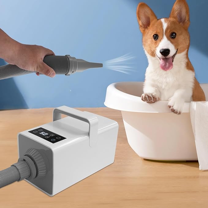 White Pet Hair Dryer 3-Heat Adjustable Dog Cat Grooming Blower Quiet 2-Speed Motor with 4 Snap-On Nozzles Lightweight Home Drying Machine for Small to Large Dogs 110 V 10 ft Hose