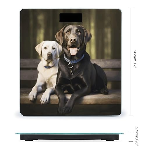 Labrador Bathroom Scale Automatic Power On/Off Body Scales LCD Backlight Display Square Digital Scale Rounded Corners Bathroom Scales for Home Bedrooms