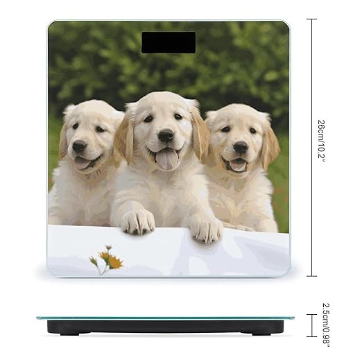 Golden Retriever Puppies Bathroom ScaleHighly Accurate Digital Weighing Machine for People Bright LED Display Weight Scale for The Aldult Home Use