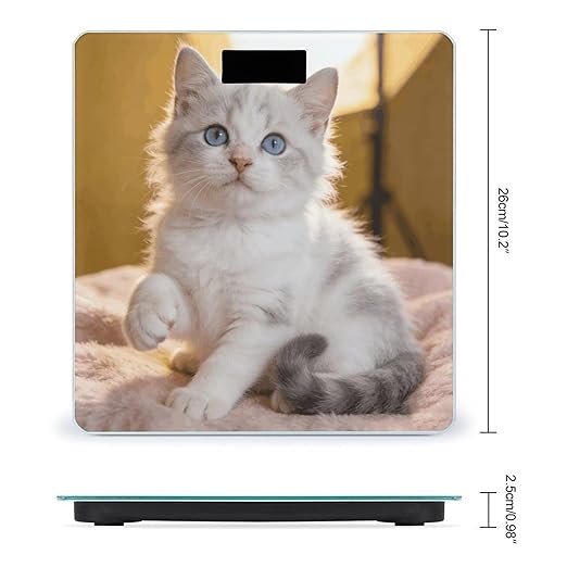 Cute Kitten Weight ScaleClear LED Display Bathroom Digital Weighing ScaleTempered Glass Digital Bathroom Scale for Body Weight Capacity Up to 400 Lbs