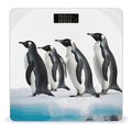Penguins Scale for Body Weight Anti-Slip Digital Bathroom Scale Sturdy Toughened Glass Weighing Scales High Precision Safe Rounded Corners Smart Scales