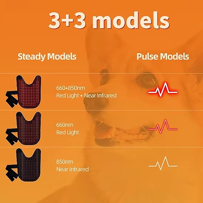 2025 Medium Pet LED Red Light Therapy Device Wearable Infrared Therapy Belt (660nm 850nm) Dual-Wavelength 120° Luminous Angle for Back Abdomen Recovery