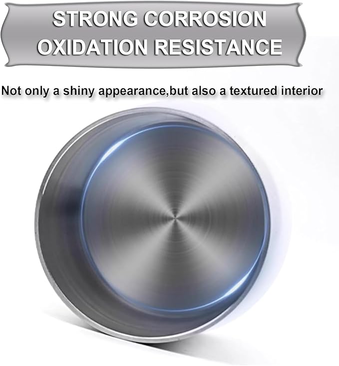 Paint Density Specific Gravity Cup Stainless Steel Coating Density Cup Liquid Densimeter Pycnometer Coating Specific Gravity Cup (100ML)