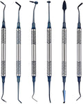 6PCS Dental Tools KitsDental Oral Hygiene Tool KitTooth Pick Stainless Steel Hygiene Dentist Set for Home &amp Oral Use