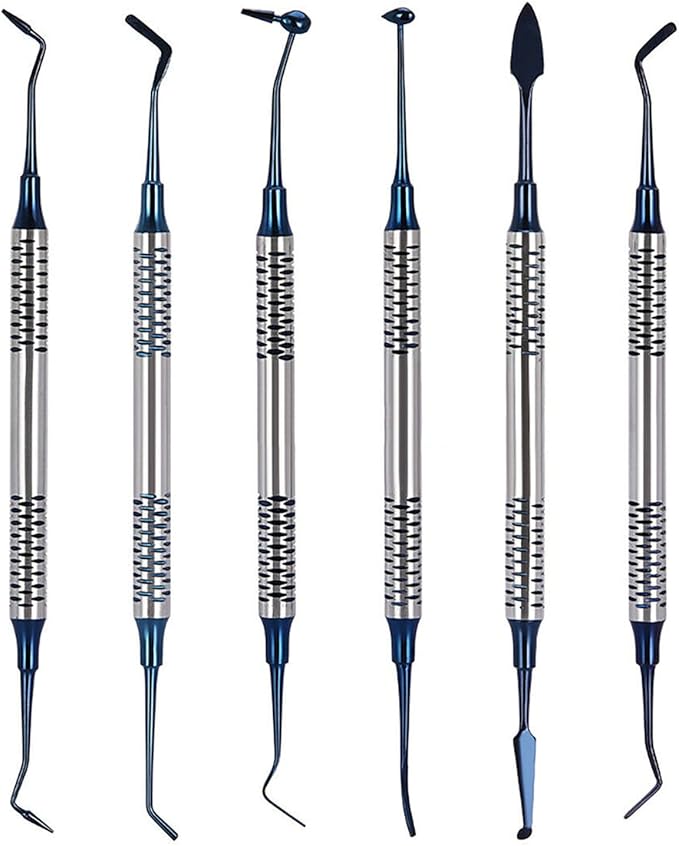 6PCS Dental Tools KitsDental Oral Hygiene Tool KitTooth Pick Stainless Steel Hygiene Dentist Set for Home &amp Oral Use