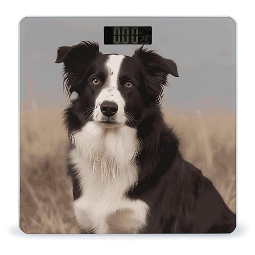 Border Collie Scale for Body Weight Accurate Digital Bathroom Scale Toughened Glass High Precision Scales Smart Weight Scales with Large LCD Backlight Display Weighing Machine
