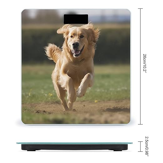 Golden Retriever Running Scale for Body Weight Highly Accurate Digital Bathroom Scale Sturdy Tempered Glass Weighing Scales with LCD Display Fashion Body Fat Smart Scales 400lb