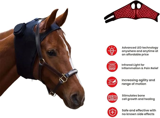 Equine Care Equipment Red Light Therapy for Horse Head Red and Near Infrared LED Rechargeable