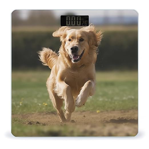 Golden Retriever Running Scale for Body Weight Highly Accurate Digital Bathroom Scale Sturdy Tempered Glass Weighing Scales with LCD Display Fashion Body Fat Smart Scales 400lb