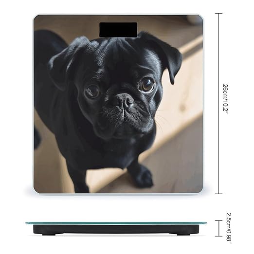 Digital Bathroom Scale for Body Weight Scale with Bright LCD Display High Accuracy Step-On Technology Auto On/Off Black Pug Dog Puppy Digital Scales 400 Lbs /180kg