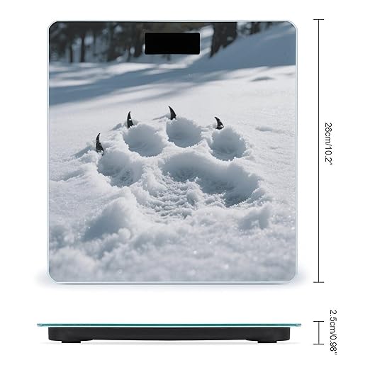 Bear Paw Print Scale for Body Weight Sturdy Tempered Glass Weighing Scales with LCD Display Accurate Digital Bathroom Scale Convenient Body Fat Smart Scales Easy Read