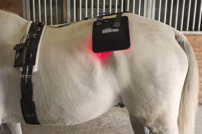 Gospel's Medium Light Therapy Pad with Case