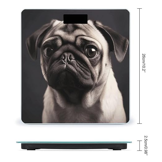Pug Bathroom Scale Automatic Power On/Off Body Scales LCD Backlight Display Square Digital Scale Rounded Corners Bathroom Scales for Home Bedrooms