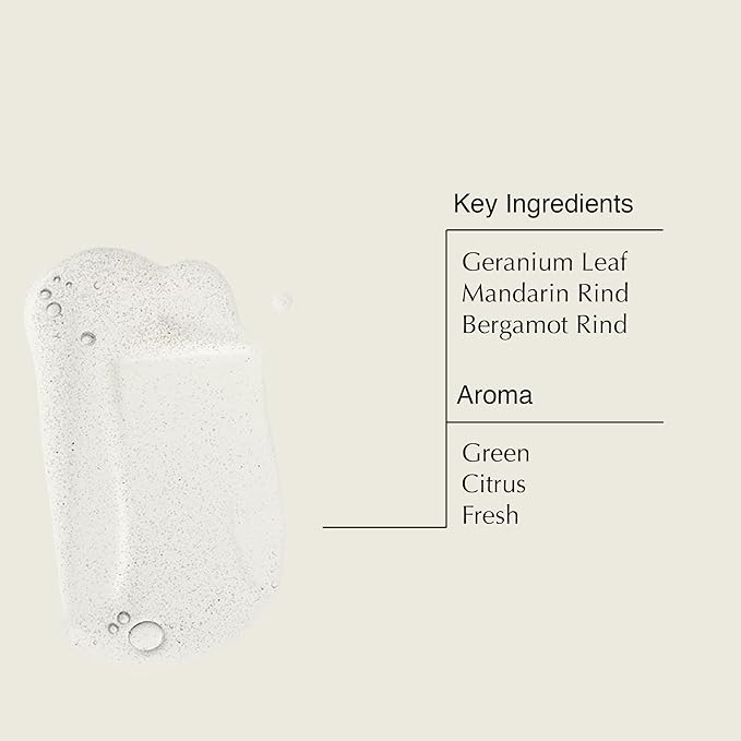 Aesop Resurrection Aromatique Hand Soap Geranium Leaf Body Wash| Paraben Cruelty-free &amp Vegan | 16.9 oz