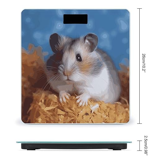 Digital Bathroom Scale for Body Weight Scale with Bright LCD Display High Accuracy Step-On Technology Auto On/Off Hamster Digital Scales 400 Lbs /180kg