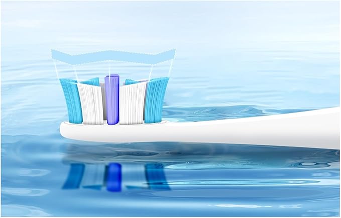 Compatible for Seago Electric Toothbrush Heads 12 PCS IPX7 Waterproof with Holder C027(SG-C027-12PCS Pink)