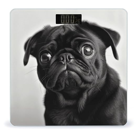 Cute Black Pug Dog1 Bathroom Scale for Body Weight Bathroom Digital Electronic Weighing Scale with Back Lit LED Display Sturdy Tempered Glass Weight Watchers Scales 400lb