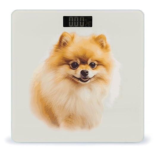 Yellow Pomeranian Weight Scale Large Bathroom Scales Digital Weight with Bright LED Display Non Slip Automatic Weighing Scale Fashion Weighing Machine for Body