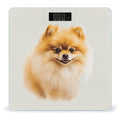 Yellow Pomeranian Weight Scale Large Bathroom Scales Digital Weight with Bright LED Display Non Slip Automatic Weighing Scale Fashion Weighing Machine for Body