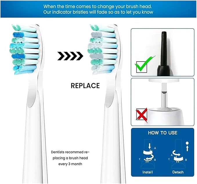 20pcs Tooth Brush Head Compatible for Seago-507B/908/909/917/610/659/719/910/575/551/548 Toothbrush Deep Clean Bristle(Black)
